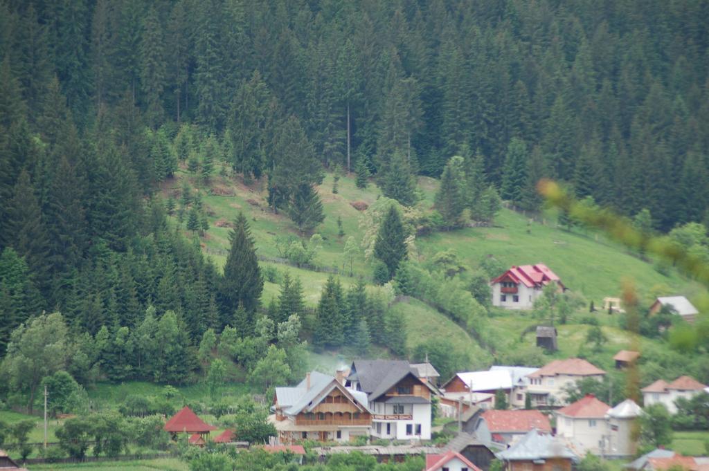 Pensiunea Casa Elvira Вама Экстерьер фото